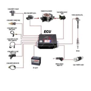 ECM LÀ GÌ? 1 SỐ SỰ KHÁC NHAU GIỮA ECM VÀ ECU LÀ GÌ?