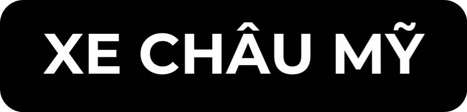CÁC DÒNG XE MÀ VES WORKSHOP PHỤC VỤ 41 CHAU AU 15