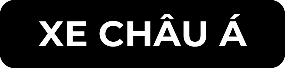 CÁC DÒNG XE MÀ VES WORKSHOP PHỤC VỤ 21 CHAU AU 8