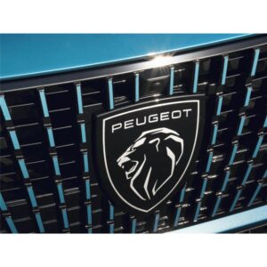 SỬA CHỮA PHANH ABS CỦA XE PEUGEOT