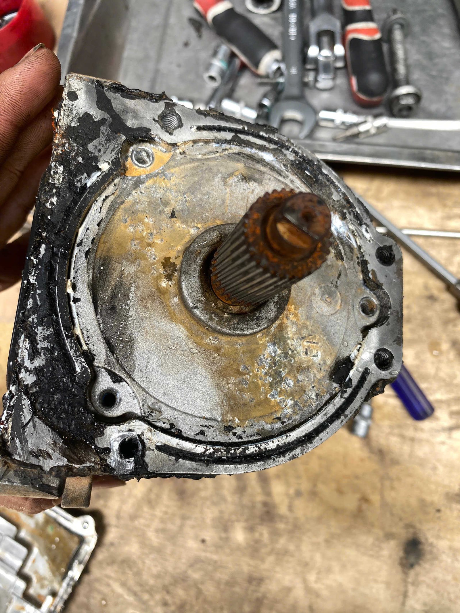 Dịch Vụ Sửa Chữa Thước Lái Điện Ford Everest Tại Ves Workshop – Giải Pháp An Toàn Và Chuyên Nghiệp