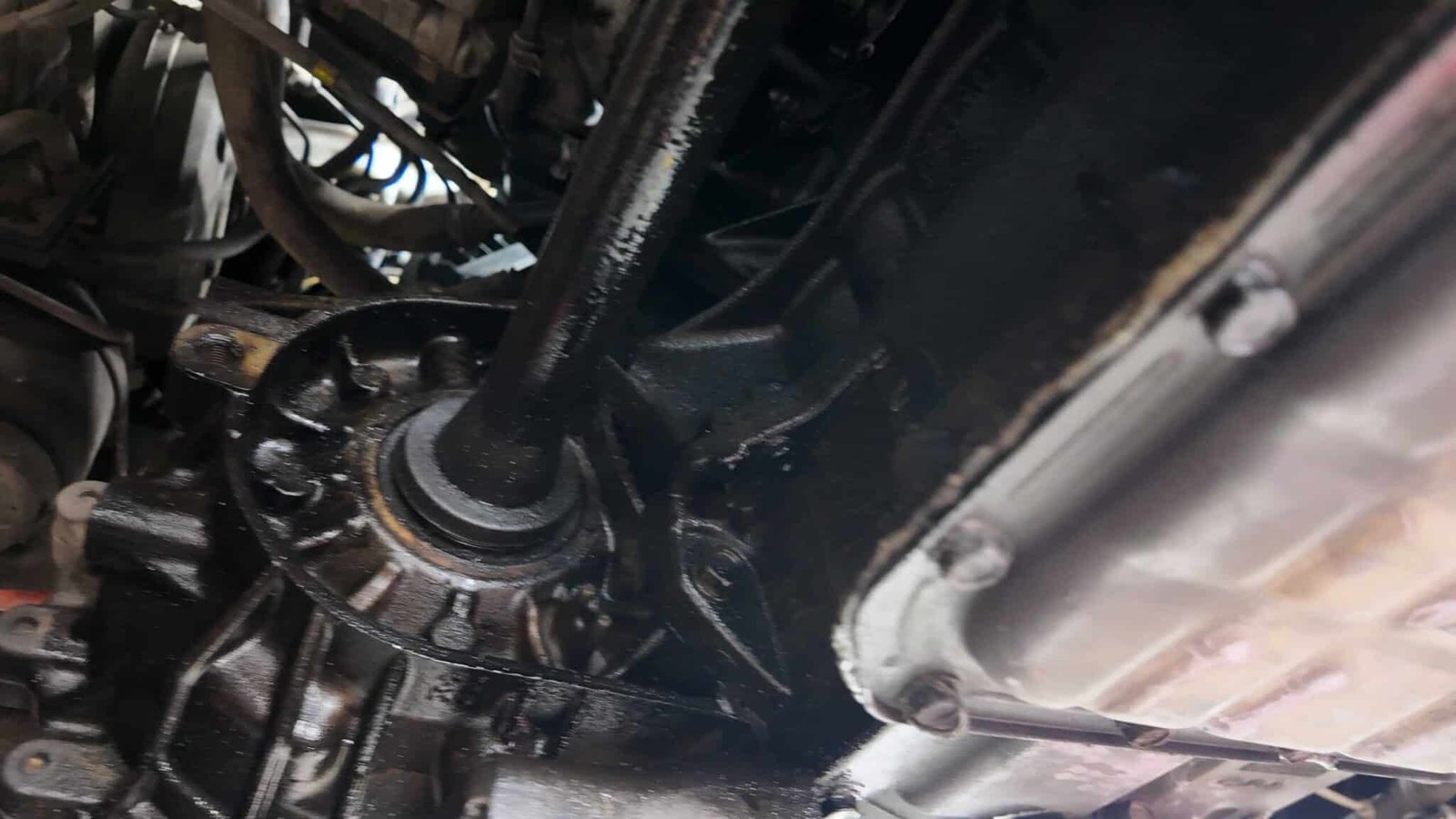 Chi phí & Thời gian Thực hiện Dịch vụ