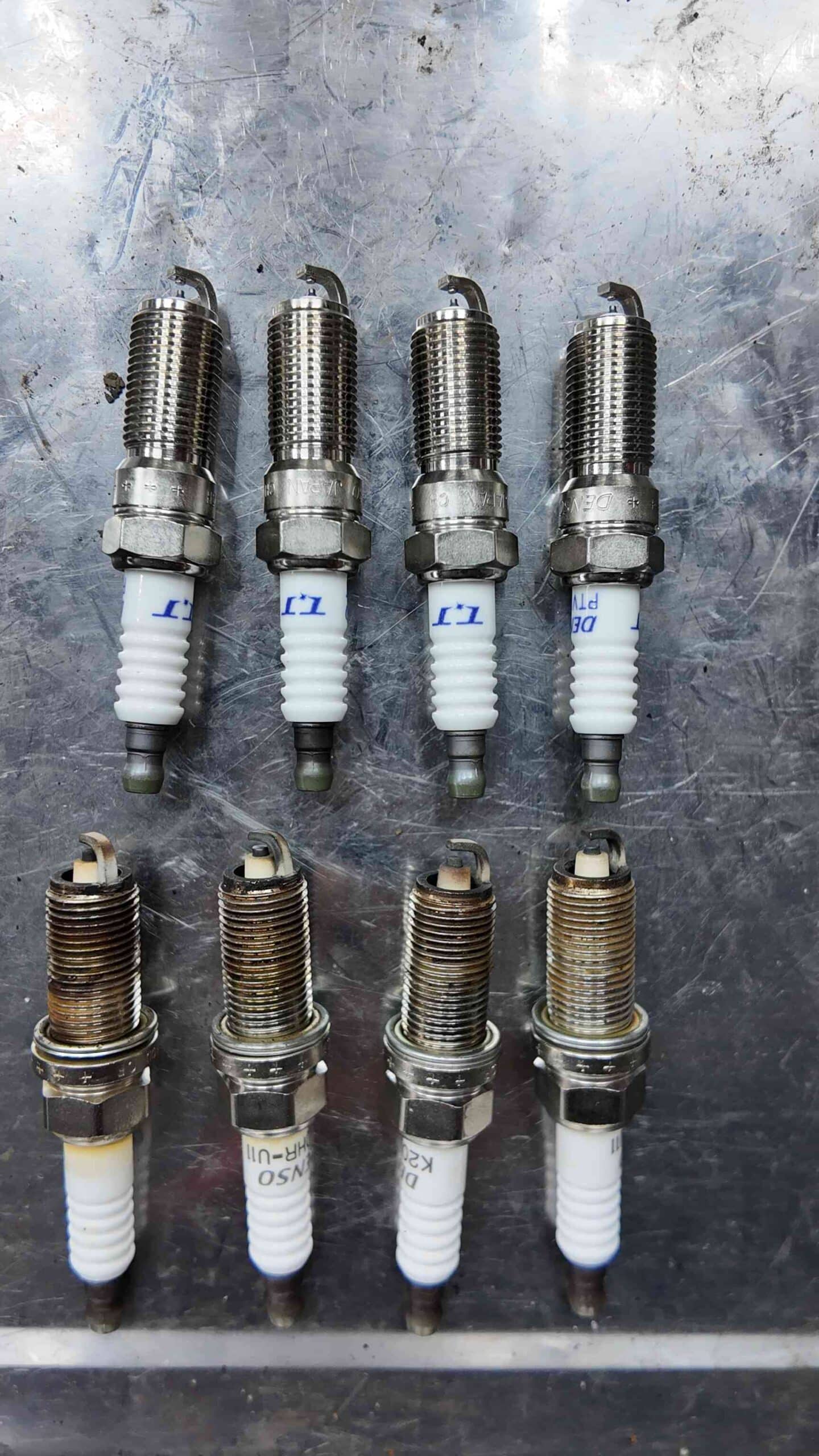 Câu hỏi thường gặp (FAQs)