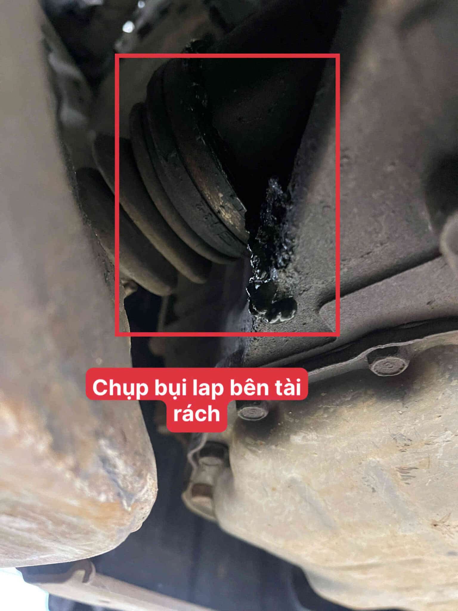 Quy trình sửa chữa chi tiết và chuyên nghiệp tại Ves Workshop: Quy trình sửa chữa chi tiết và chuyên nghiệp tại Ves Workshop: