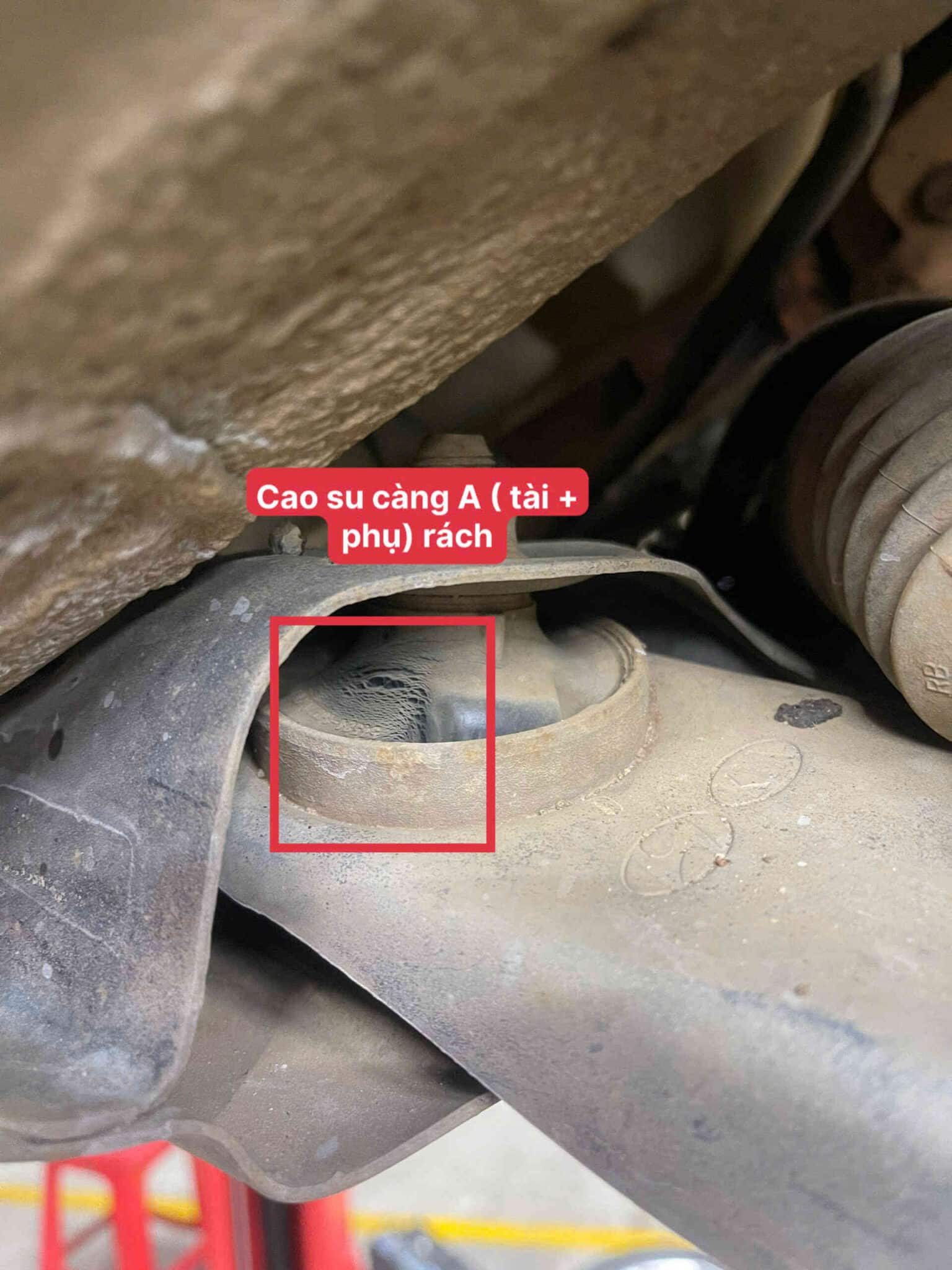 Quy trình sửa chữa chi tiết và chuyên nghiệp tại Ves Workshop: Quy trình sửa chữa chi tiết và chuyên nghiệp tại Ves Workshop: