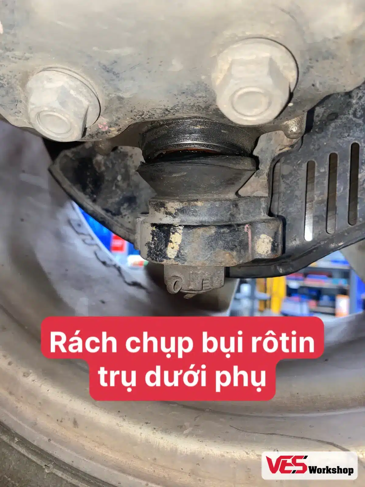 Rách chụp bụi rôtin trụ dưới bên phụ Isuzu MU-X